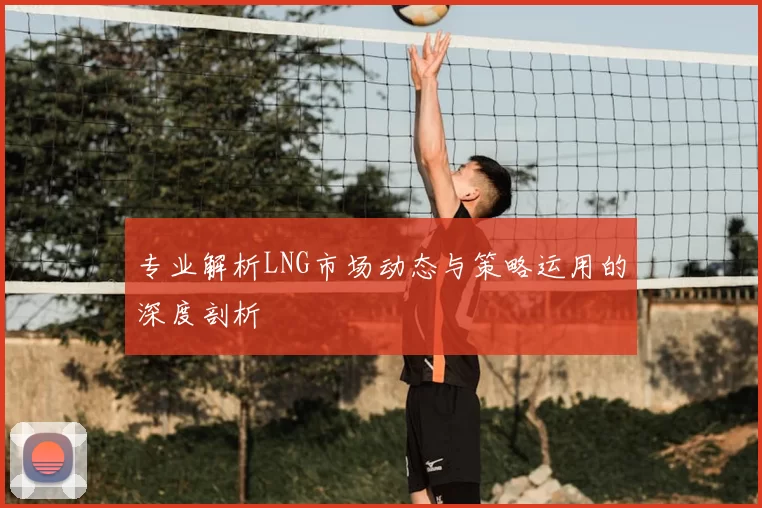 专业解析LNG市场动态与策略运用的深度剖析