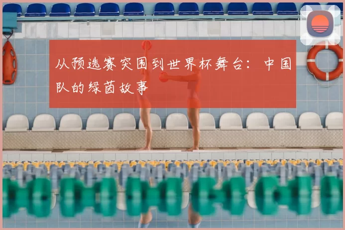 从预选赛突围到世界杯舞台：中国队的绿茵故事