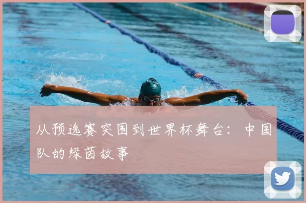 从预选赛突围到世界杯舞台：中国队的绿茵故事