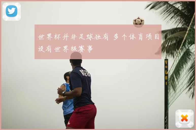 世界杯并非足球独有 多个体育项目设有世界级赛事