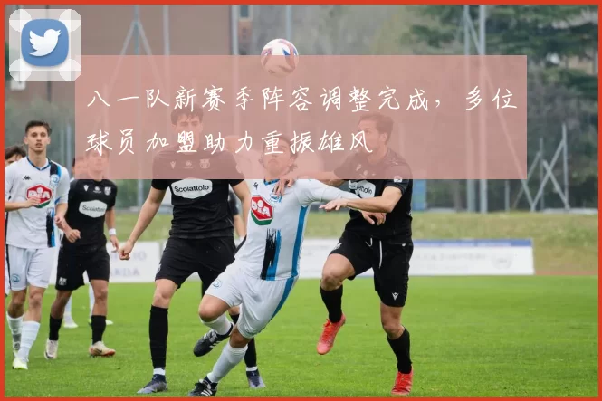八一队新赛季阵容调整完成，多位球员加盟助力重振雄风