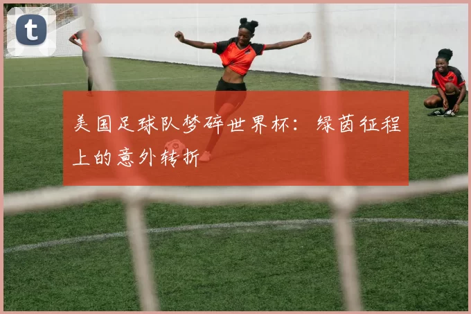 美国足球队梦碎世界杯：绿茵征程上的意外转折