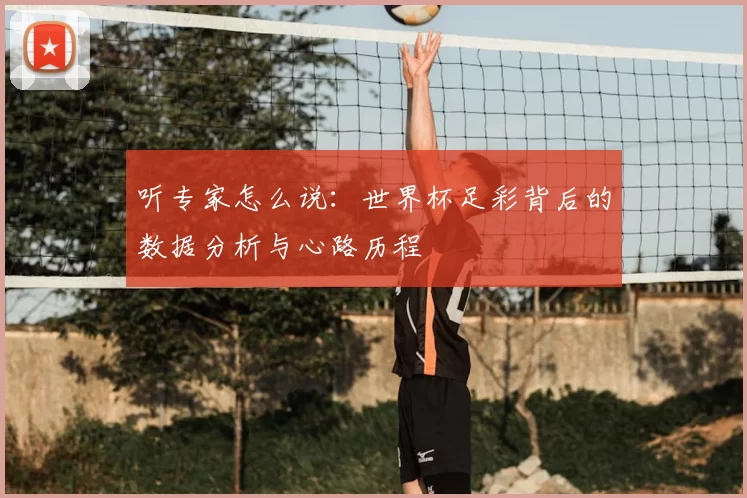 听专家怎么说：世界杯足彩背后的数据分析与心路历程