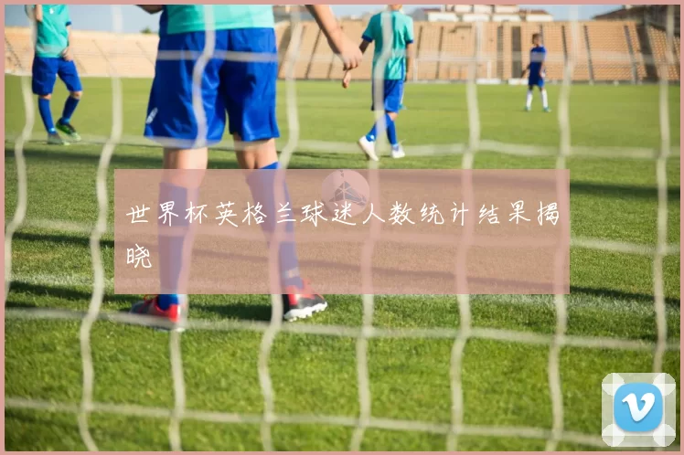 世界杯英格兰球迷人数统计结果揭晓