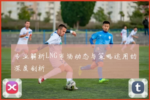 专业解析LNG市场动态与策略运用的深度剖析