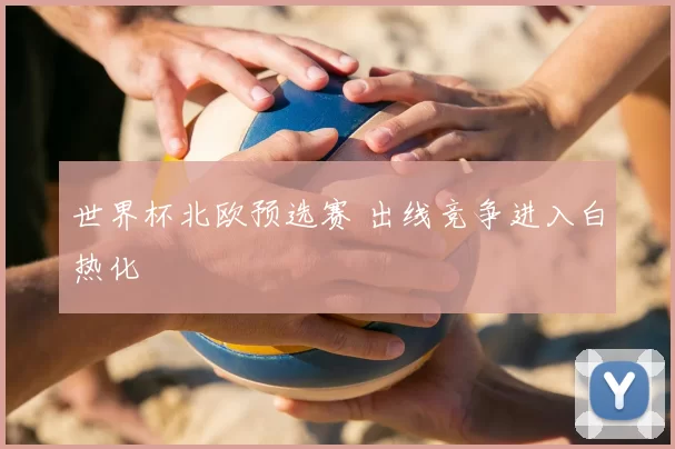 世界杯北欧预选赛 出线竞争进入白热化