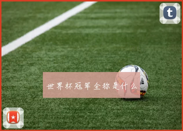 世界杯冠军全称是什么