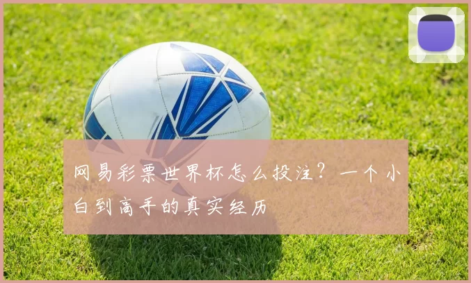 网易彩票世界杯怎么投注？一个小白到高手的真实经历