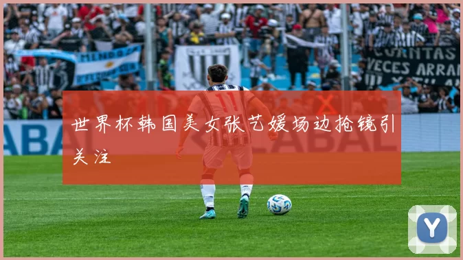 世界杯韩国美女张艺媛场边抢镜引关注