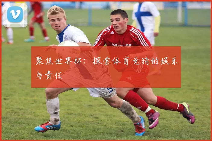 聚焦世界杯:探索体育竞猜的娱乐与责任