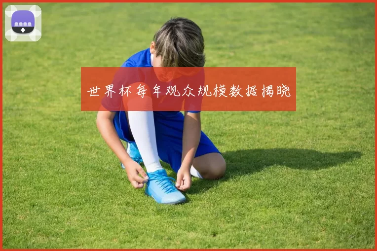 世界杯每年观众规模数据揭晓