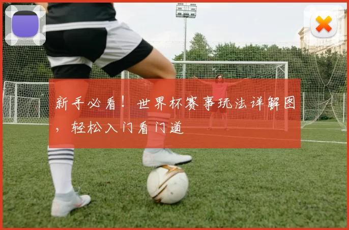 新手必看！世界杯赛事玩法详解图，轻松入门看门道