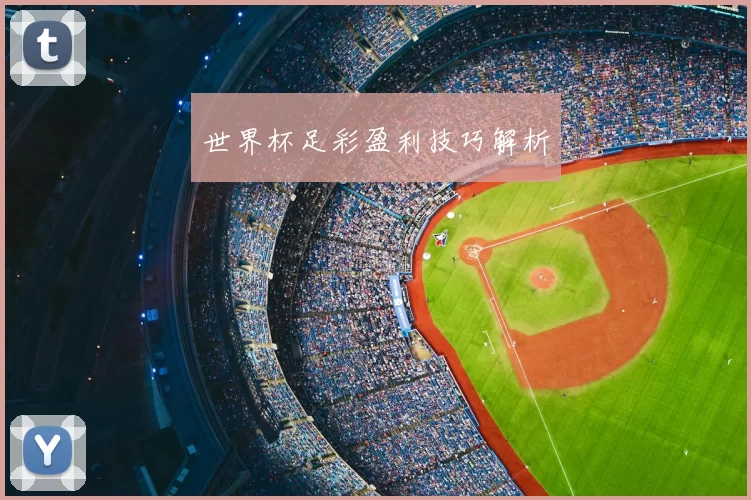 世界杯足彩盈利技巧解析
