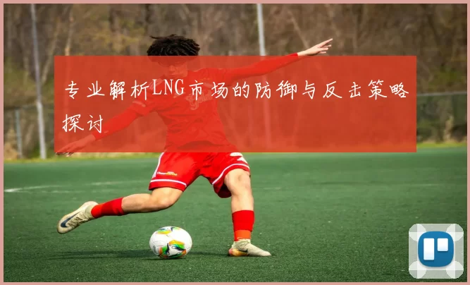 专业解析LNG市场的防御与反击策略探讨