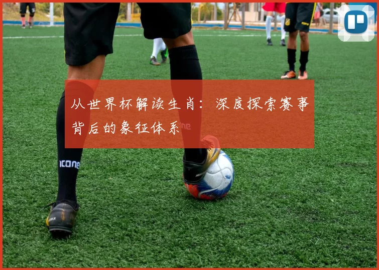 从世界杯解读生肖:深度探索赛事背后的象征体系
