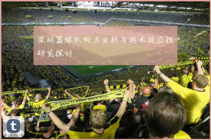 深圳篮球队耐力分析与战术适应性研究探讨